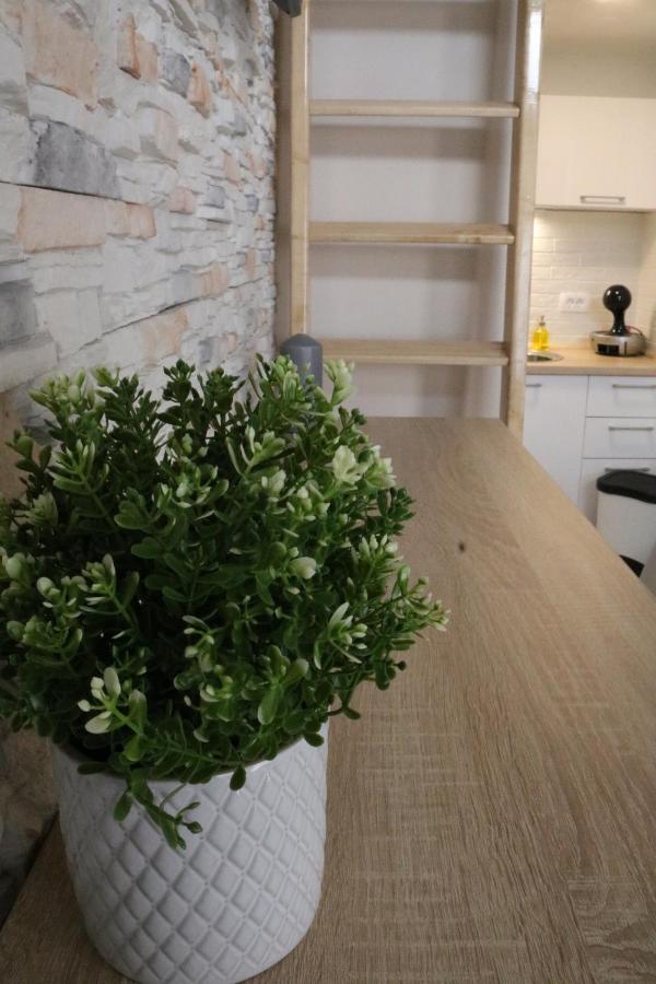 Studio Apartman Chiara Zágráb Kültér fotó